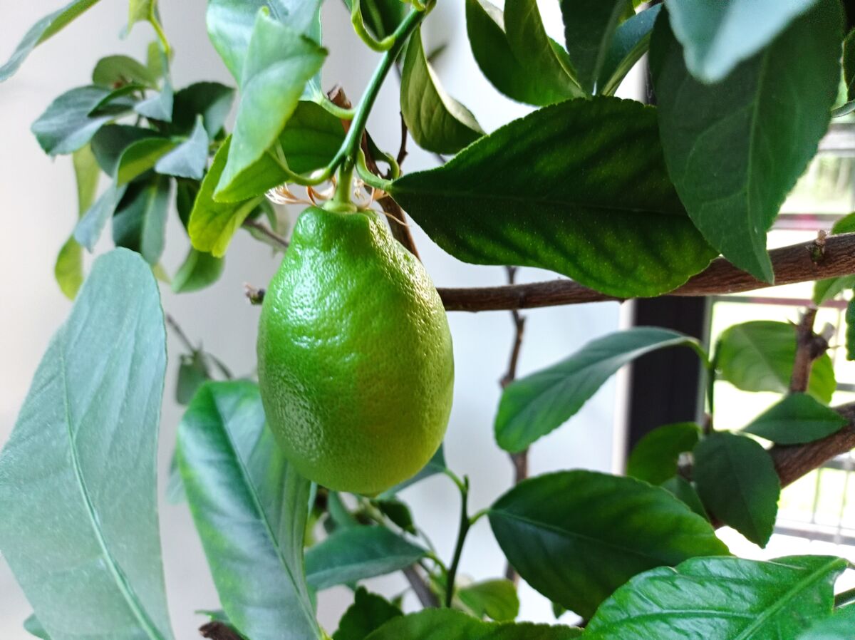 7690b547-9bfd-4669-94f8-3d3b8d896136