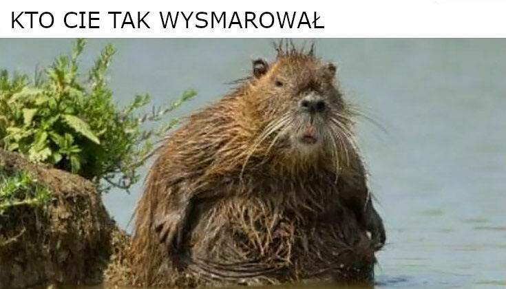 9d2179e3-210d-462c-8527-2709737abb06