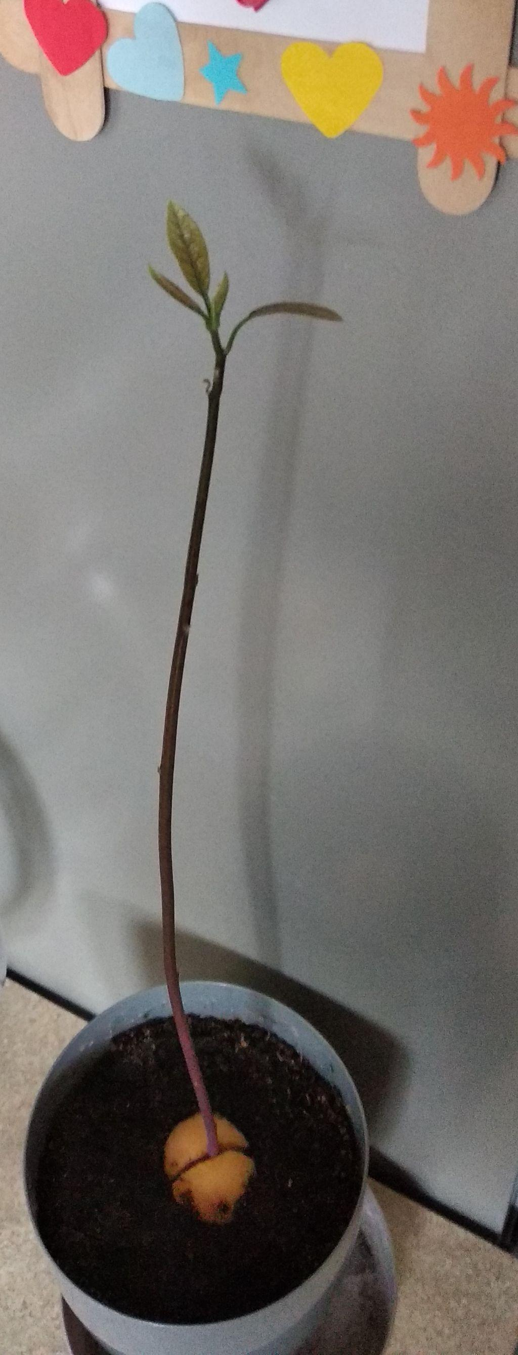 c0f9d76b-fa7c-4fcf-8f2f-bbf75d3cdd80