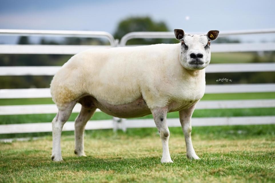 281d4ab4-3e0c-4e8d-86ac-602f20131325