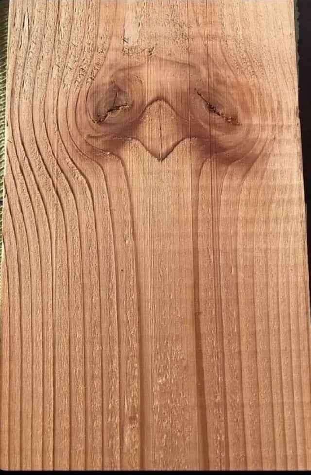 2d242f55-a144-4920-b69c-2b7cc9024d4f