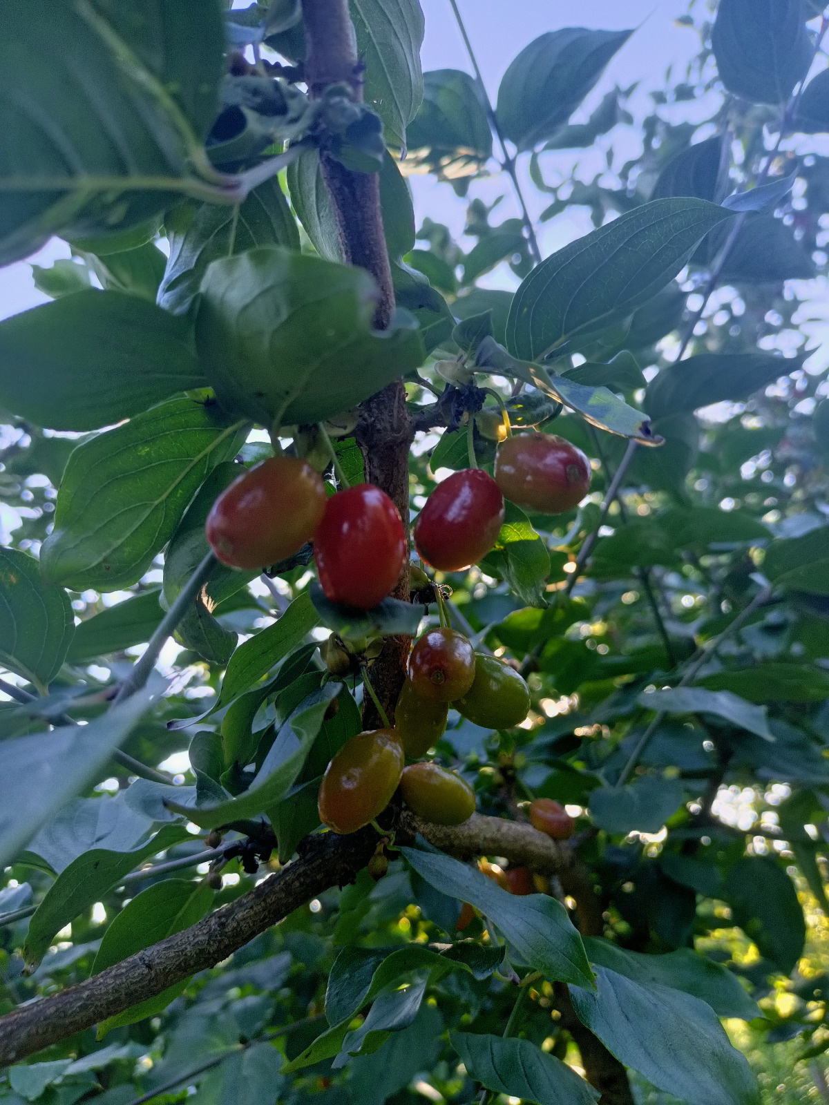 9bf97174-485e-48b6-9c80-e12bd2437a57