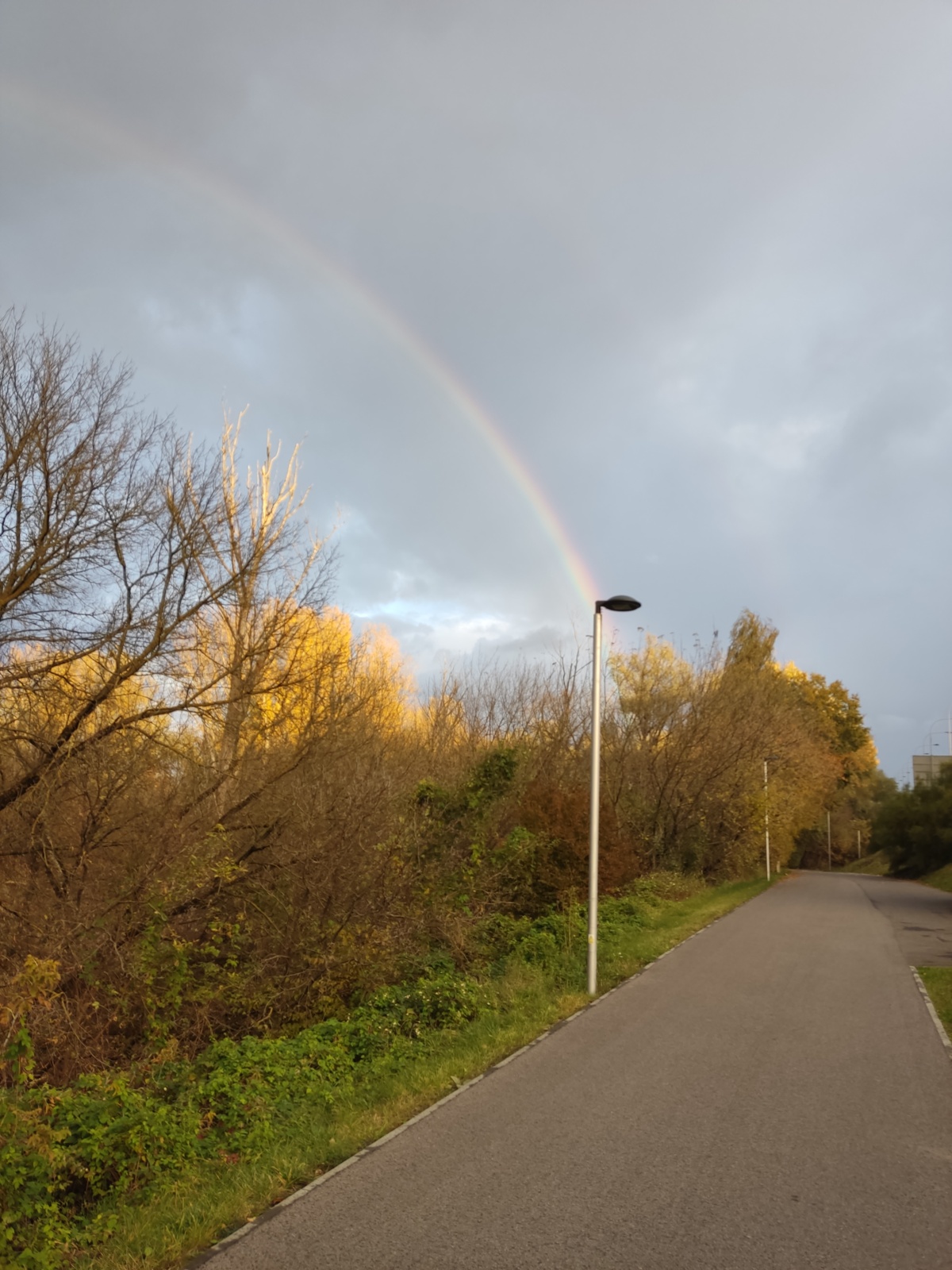 f6f96eae-cd19-4dd8-83bf-eaecac9622c7