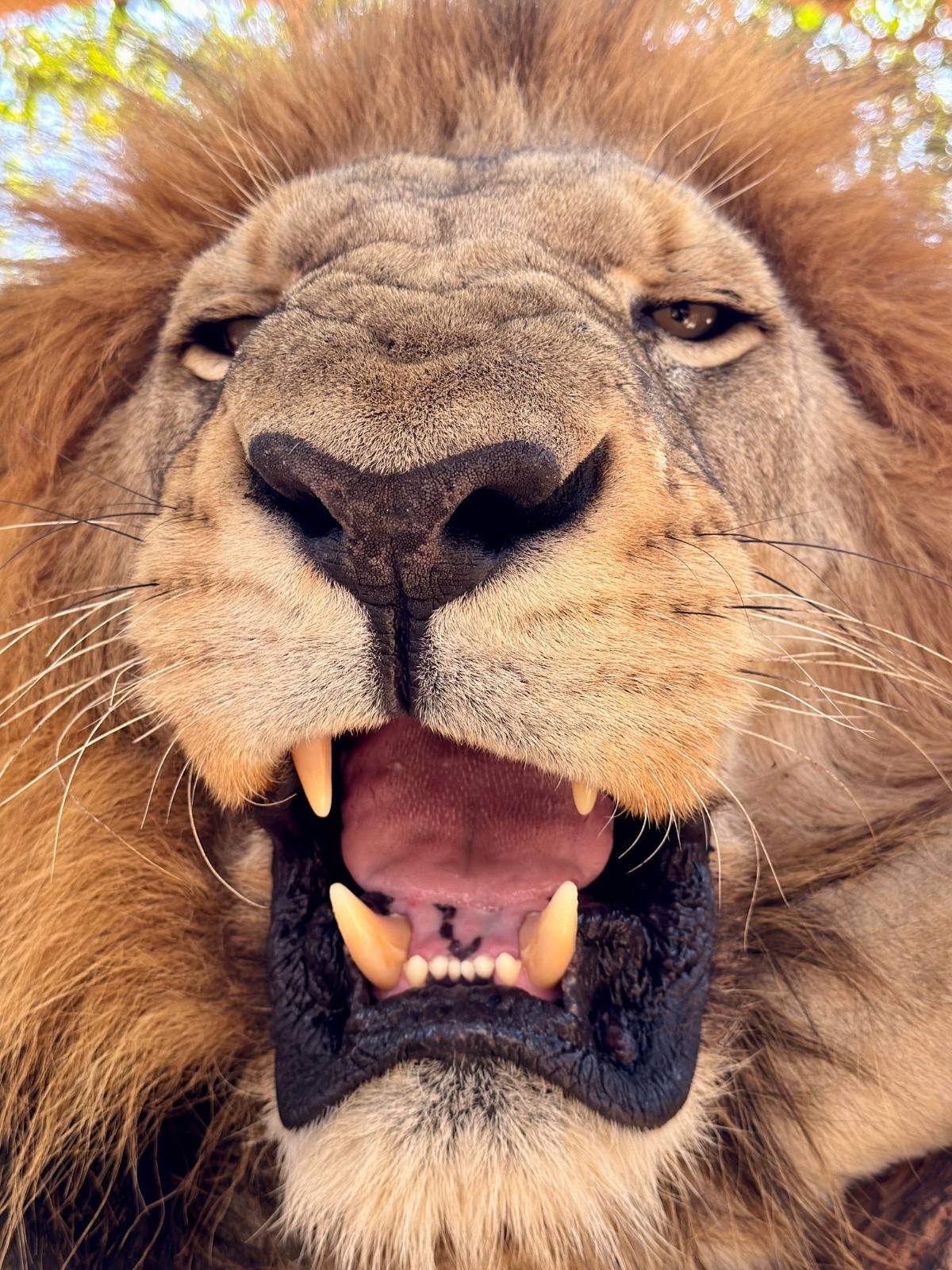 244b2ce9-6da0-45b2-a4b8-16fe42b36607