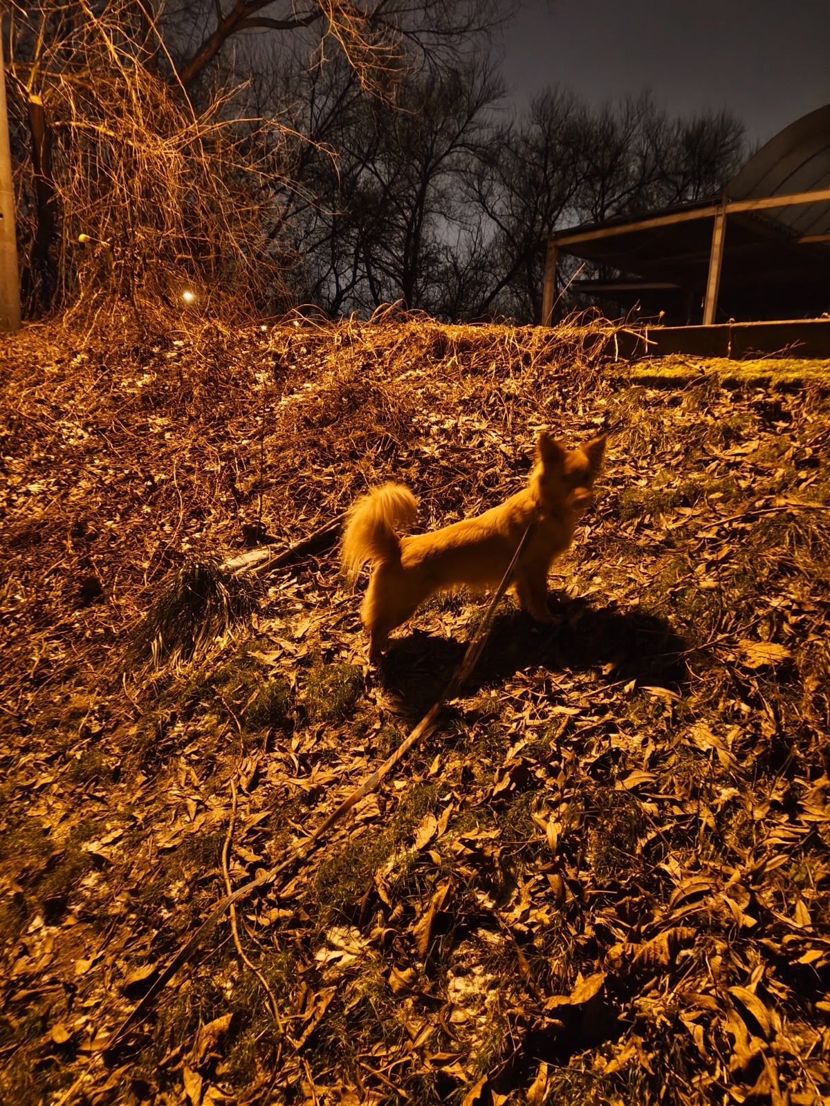 fd7f3d5b-a65b-4e27-94d0-e0614706216e