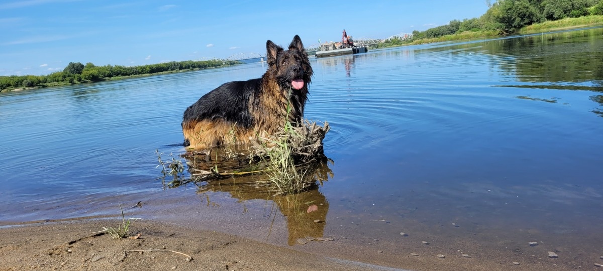 925387d5-6aa9-4344-96ed-2dcb90687081