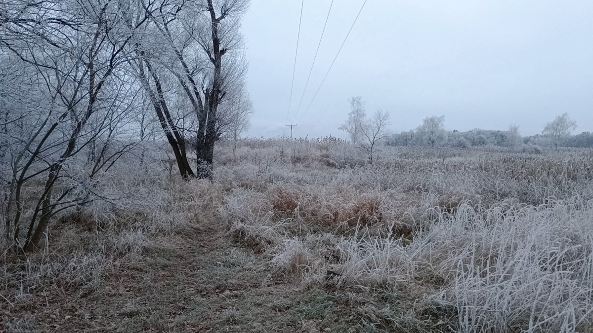 bb3a6ef3-0eef-4c9b-9ce1-4c399816b580