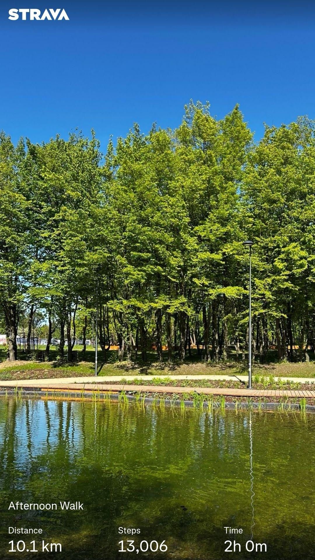 e3115e4c-b75d-400e-8fc2-a806fdf529b5