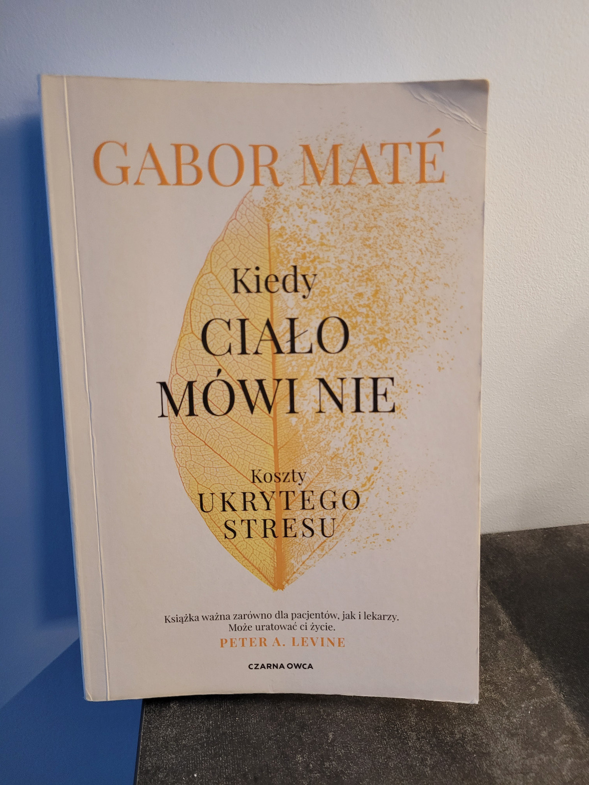 bbf6ccb0-4325-4947-ab64-df8d3c60df78