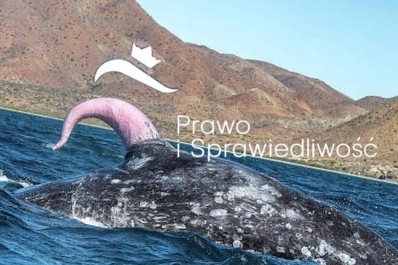 72007fec-0aa6-432c-bb71-167e07665b33