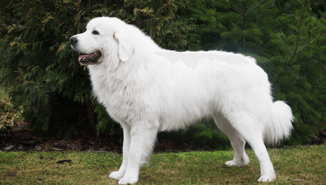 357c8462-6975-493f-b784-36fd92a05a9a