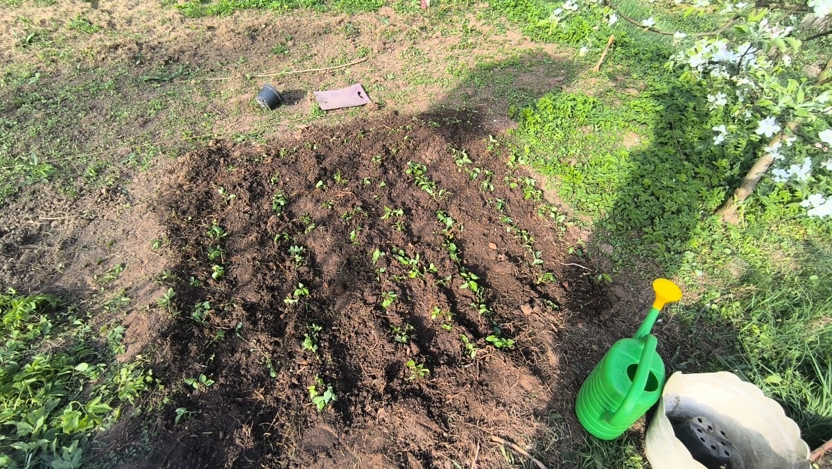 212e824b-97c7-40cb-ae30-8724bf9869b5