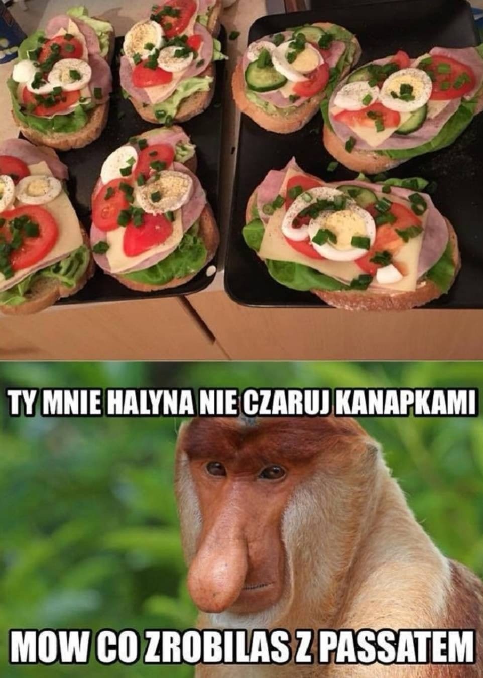 e16637ee-9193-46cd-a00e-f3b4eec10f2e