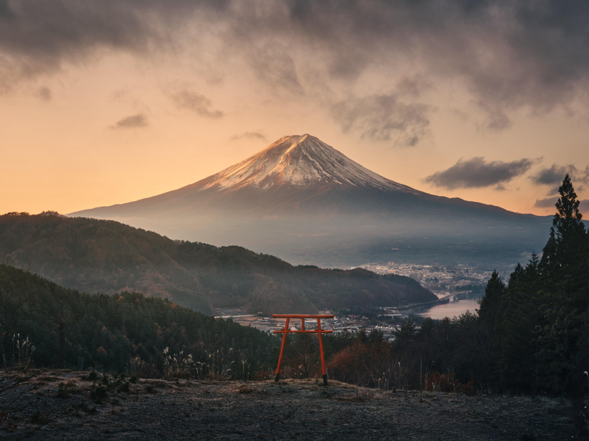 9d7a20df-e440-46f8-b50f-da925b25ac65