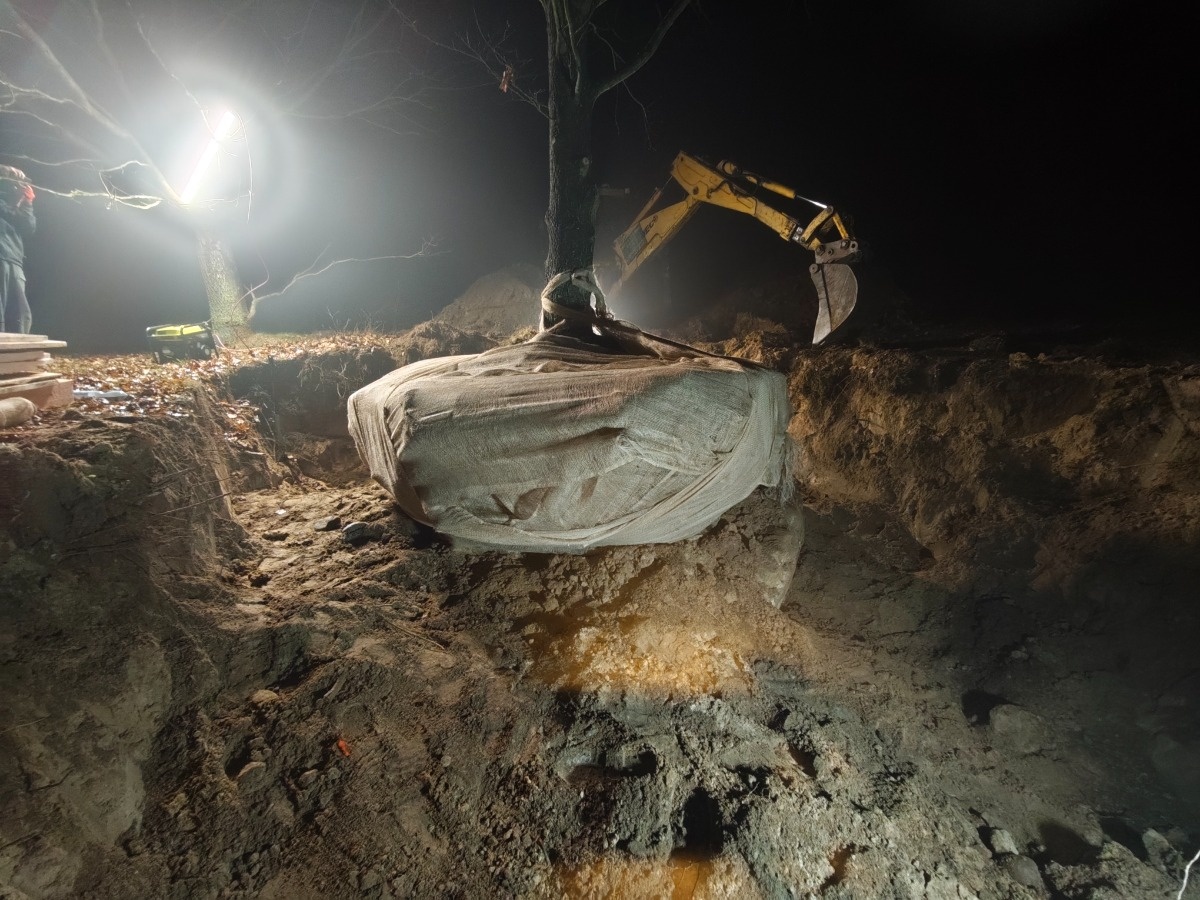 3d72ca4f-4815-4c33-b530-7e065108a879