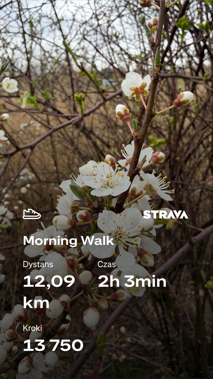 b53dabef-9f9a-4788-b312-4921081dd7ea