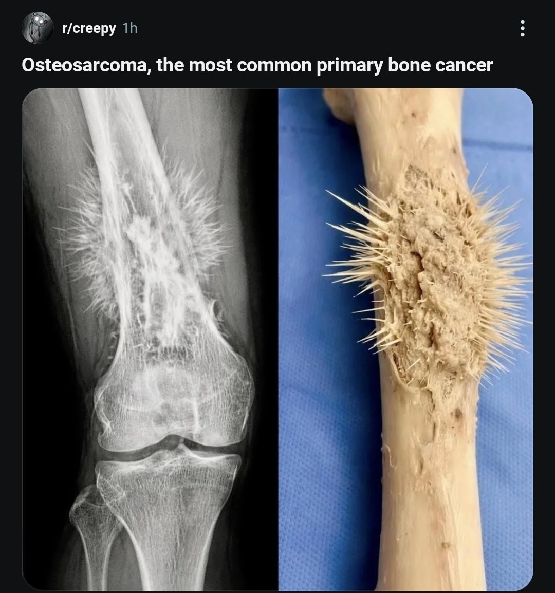 814e80db-d9dd-49b3-9a08-51a705d531be