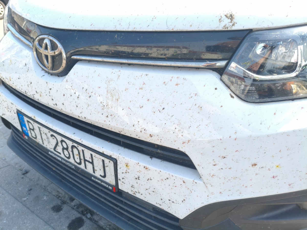 80f6cac9-ceaa-49bc-8d9c-5ee7b8465202