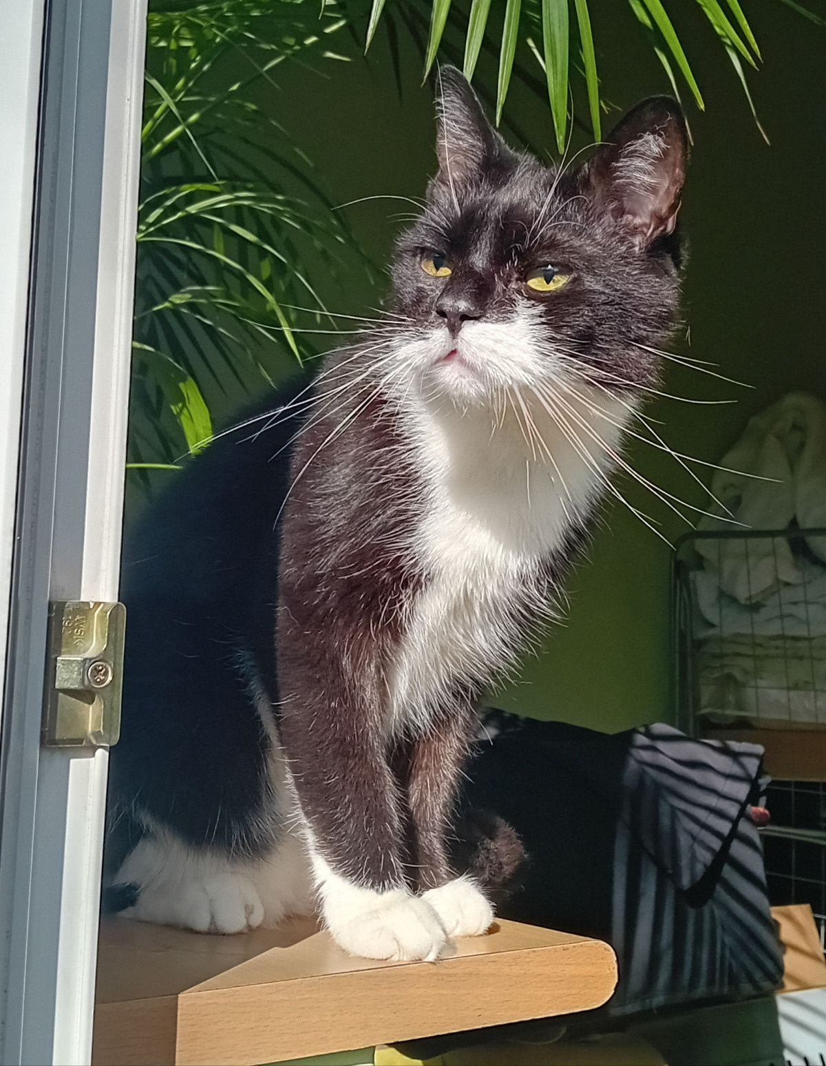 ef3f64f7-4426-46d7-850d-b8405d2f4a11