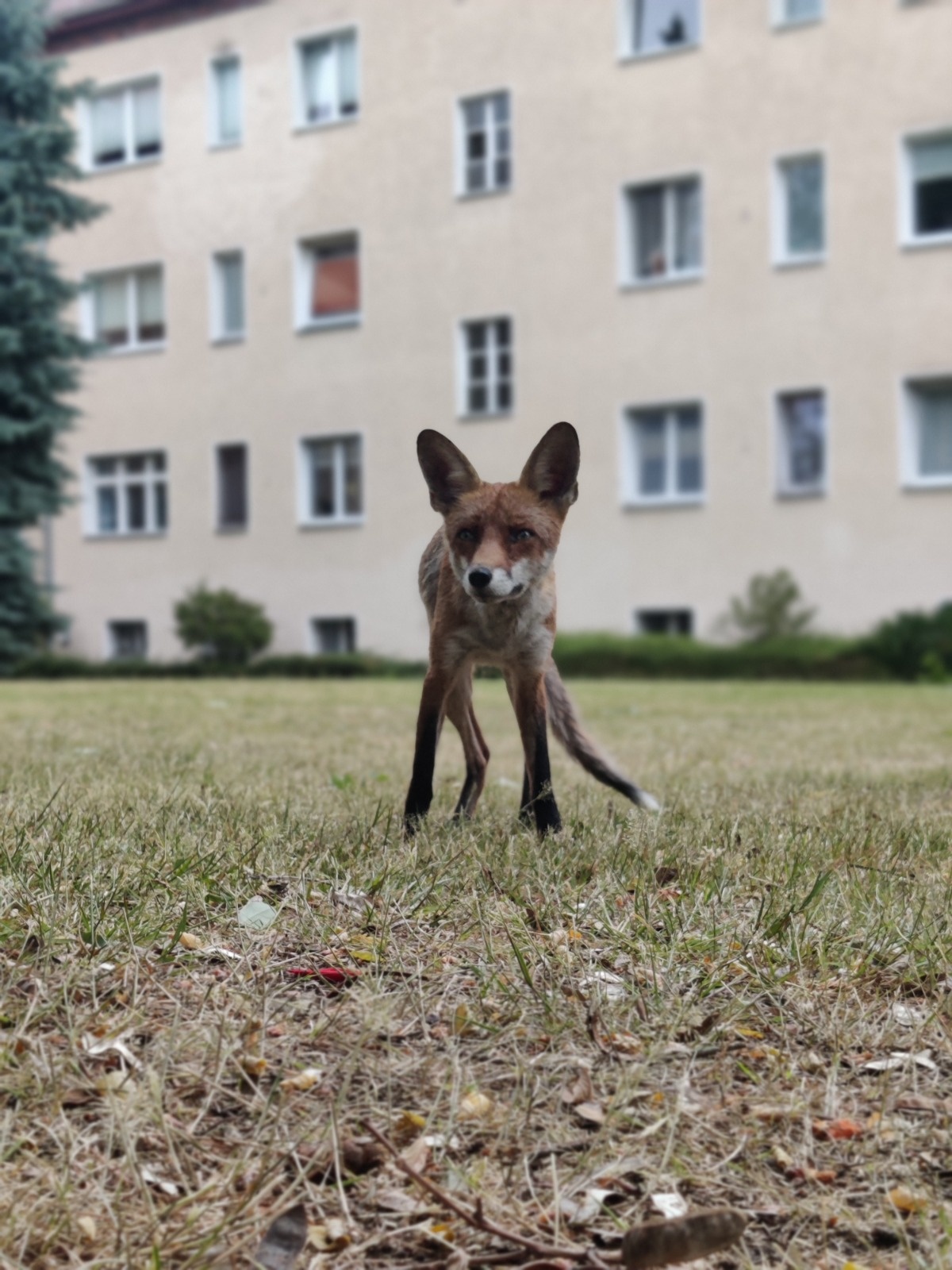 4a585175-0104-4234-81ef-3711c28f4fca