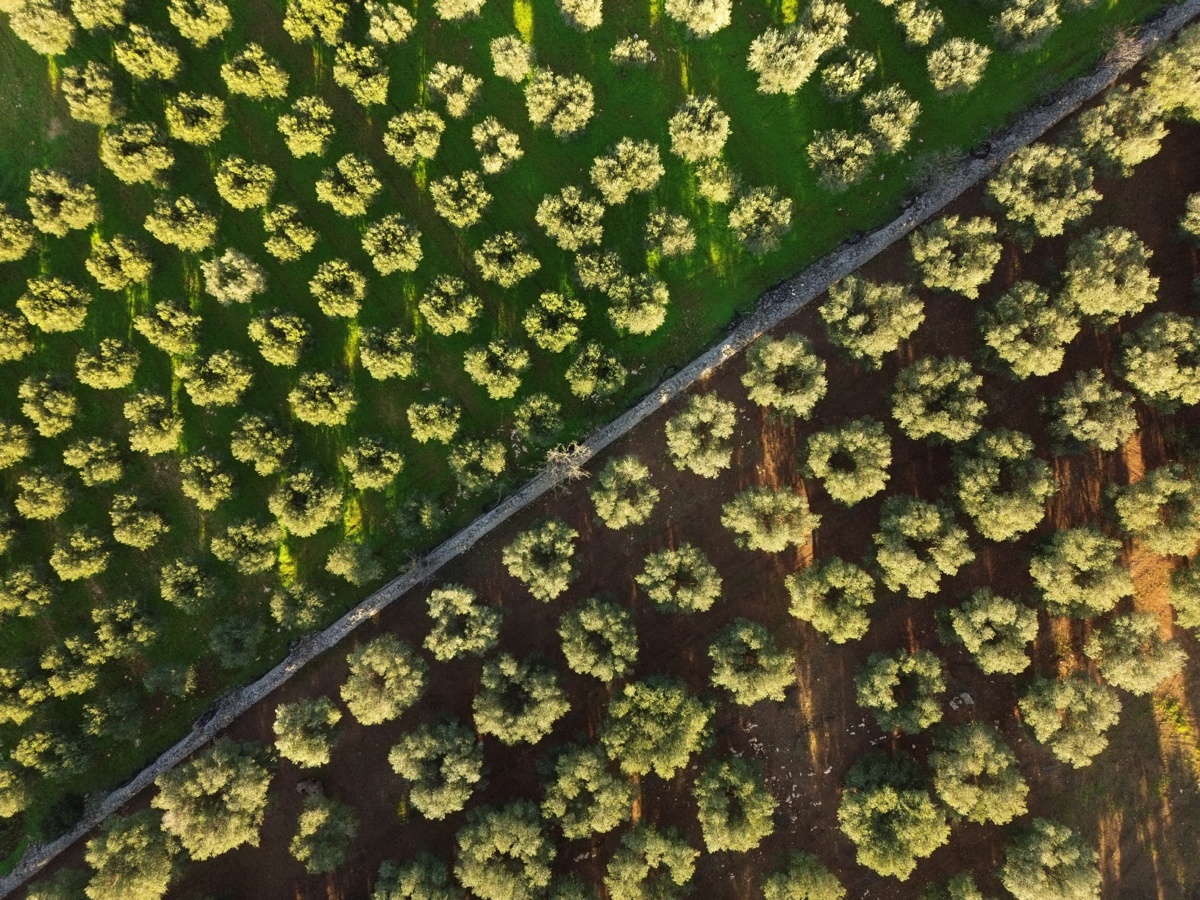 f0535416-a9b7-4195-8312-8ffc37bf687a