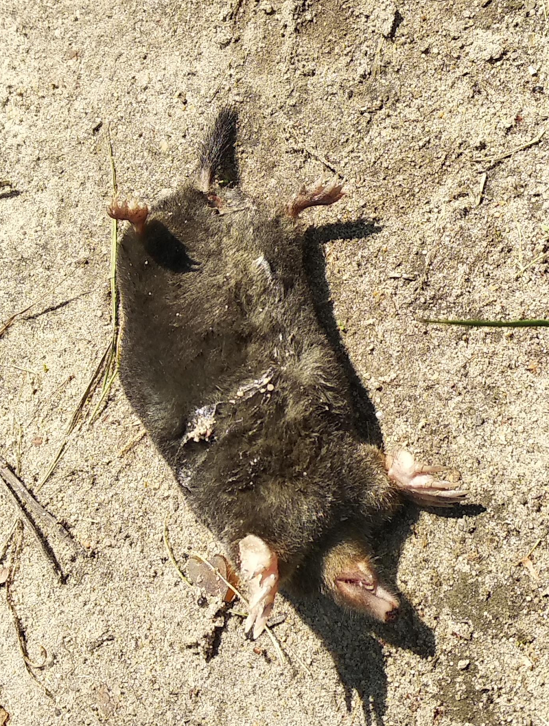 29fb33a1-2894-4db8-93d8-a98eeef3806e