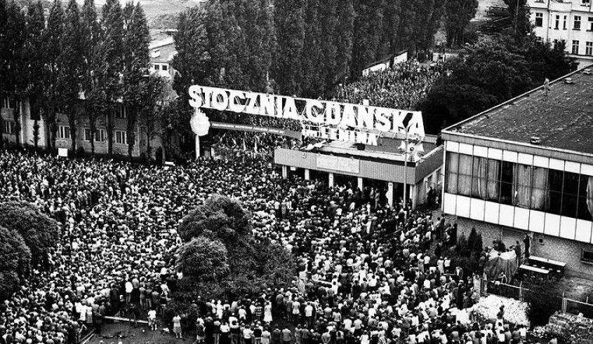 869c66ff-c5f5-441c-a046-9c510d2fc92f