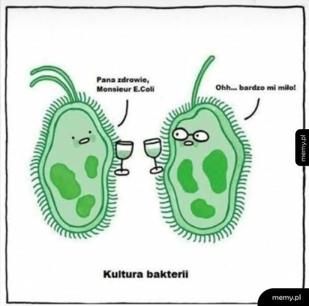 759df2f6-71b7-40a3-9fce-cd5d41f06b8d