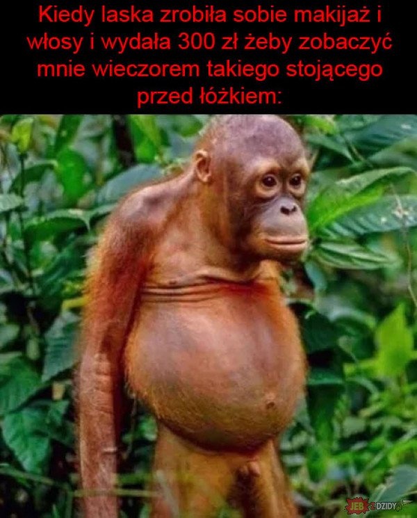 5a5ea93b-526e-493f-a9fd-149f8da2d299