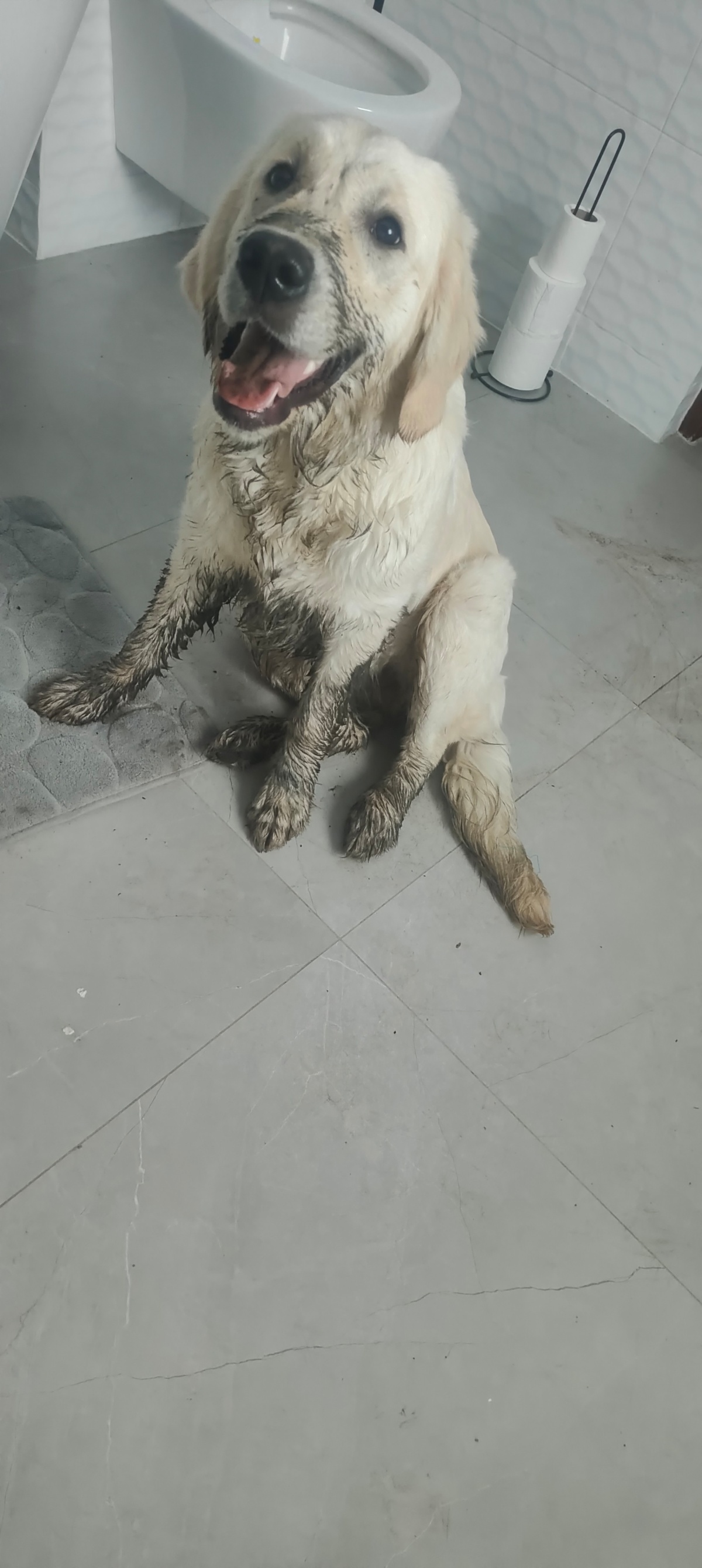 8df56bcd-3655-48ad-9c27-0368d5460a2a