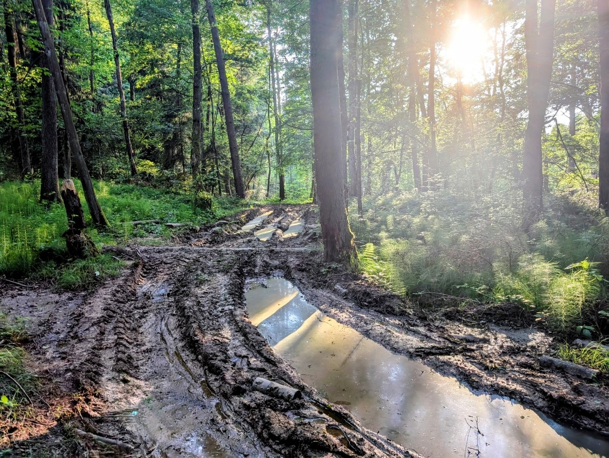 60d70e5a-ff6c-4c1c-a6ba-265c83d8f85d