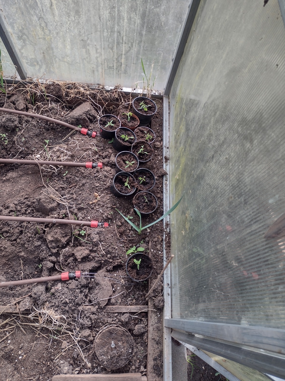 40e47d92-62b0-4d80-ba0b-533ca842cbd0