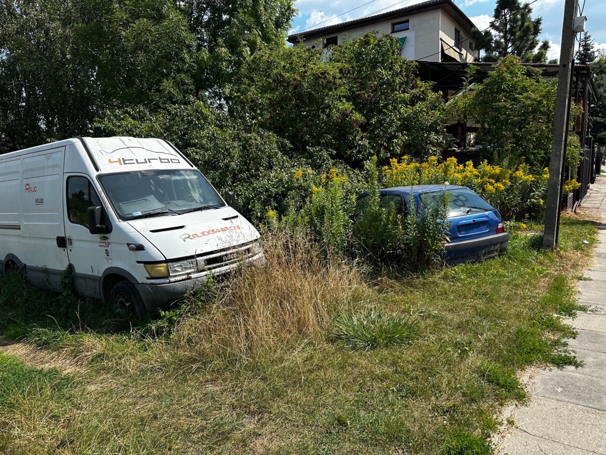 b196db29-3179-458e-94c5-f1e4dd3b2181