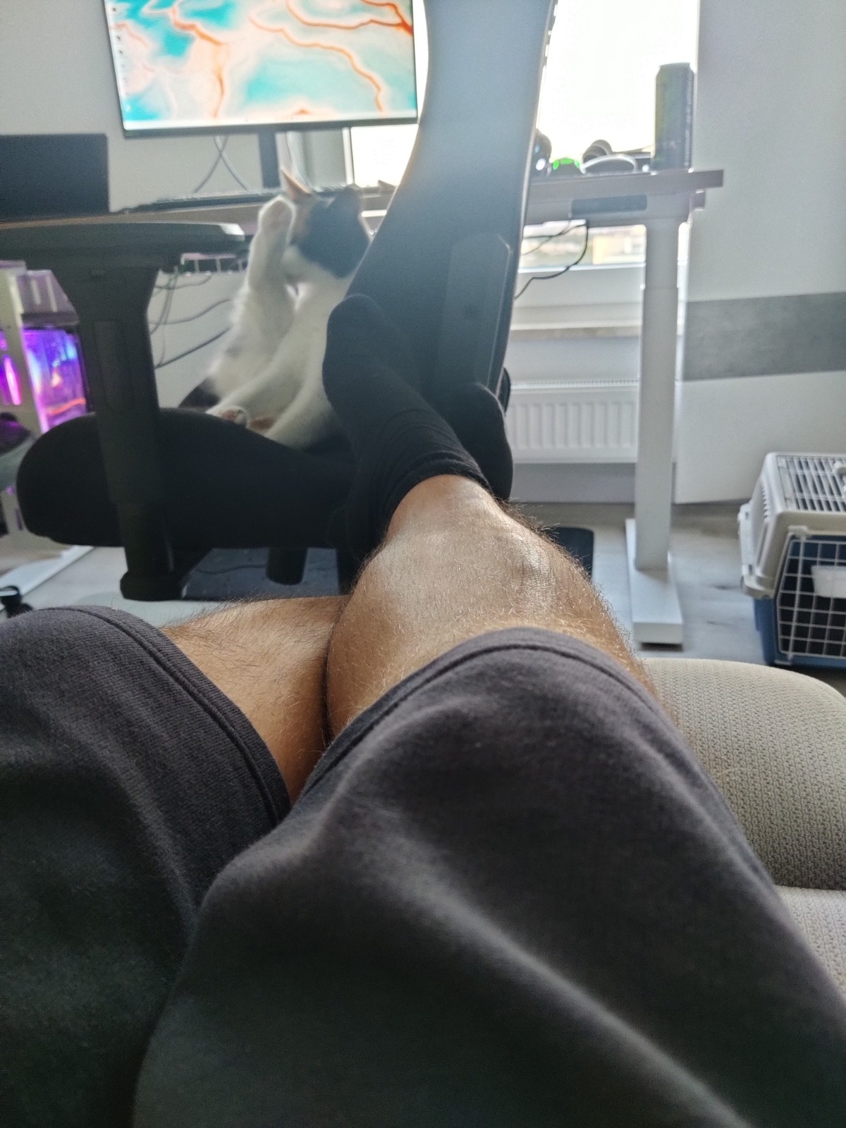 a3e51f19-7e13-4926-867e-d48b3bff773b