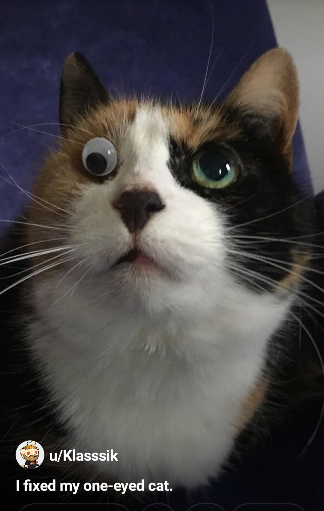 94e34fef-0ecc-4bf6-b1b4-b96565856cd3