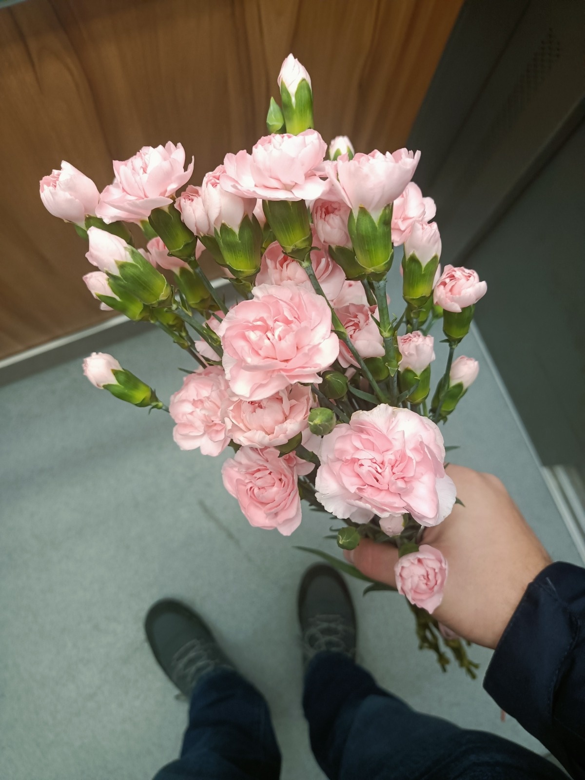 f38fbd22-7e36-4ea5-93d4-d0f2f8a924f6