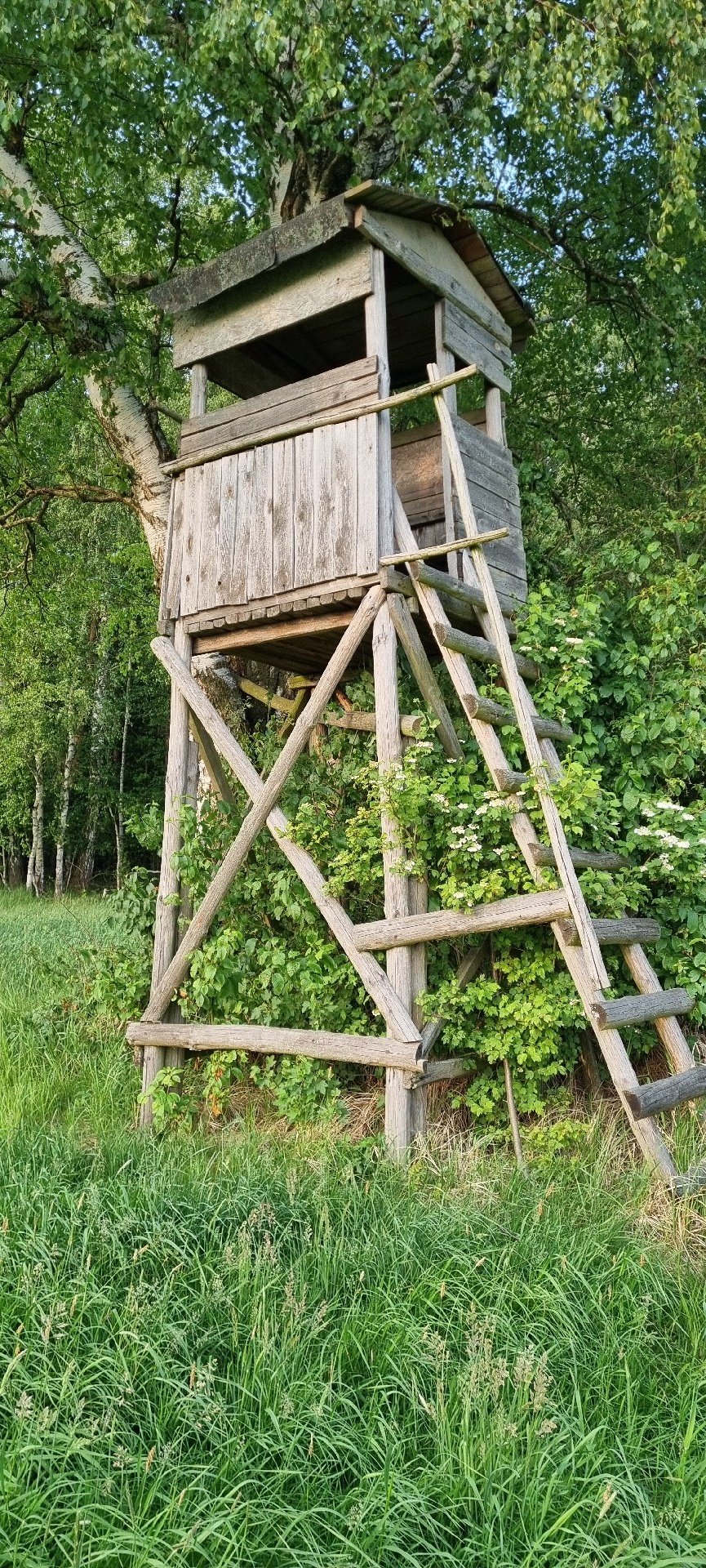 240a9a9c-c510-42ab-83da-e58633bc8b65