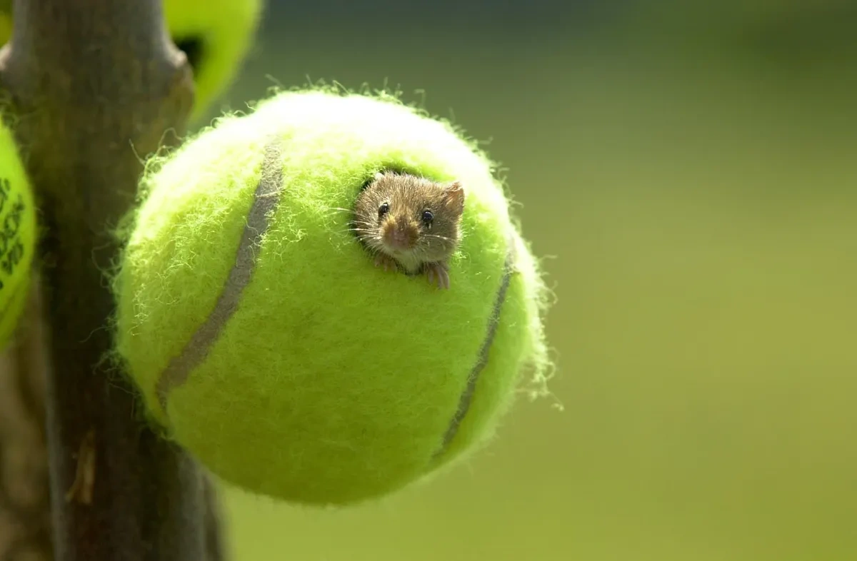 7109b860-5052-4e67-8e90-4a5b292ea6b2