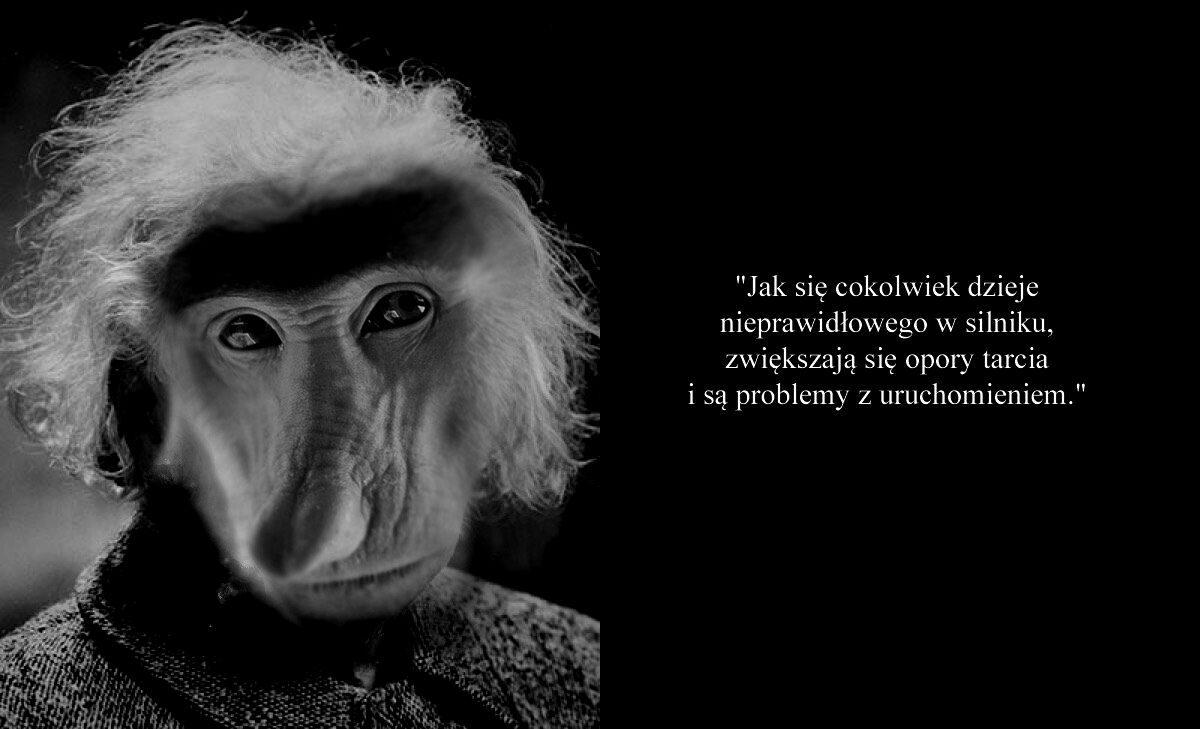 f69e3a3b-0a06-4692-8338-023cf9bb98dc