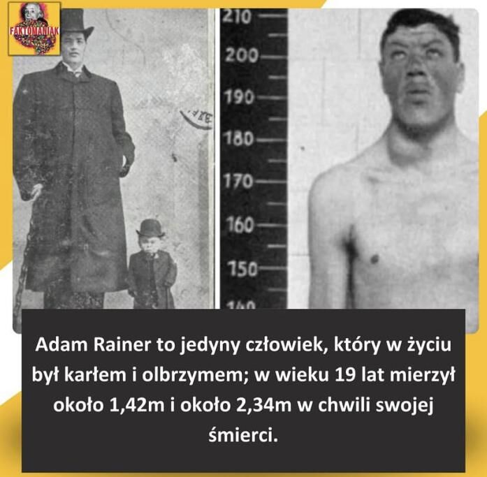 f1f23a29-fff6-42b4-83ac-46b9369be37f