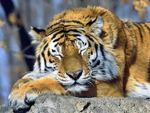 99acde97-6856-4027-a76b-d3d0a4dee089