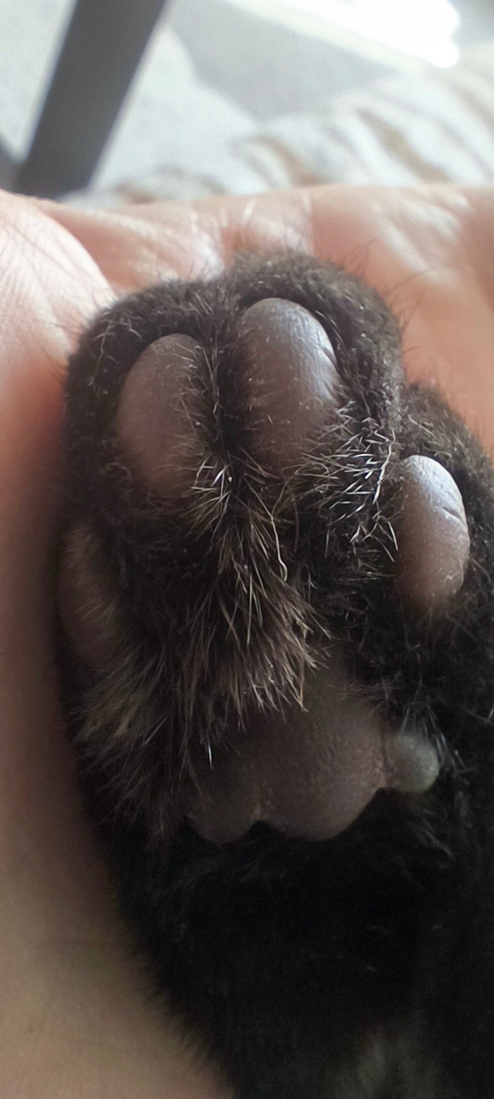 9ffac4c7-c4e6-4950-8e0c-a7728e51298a