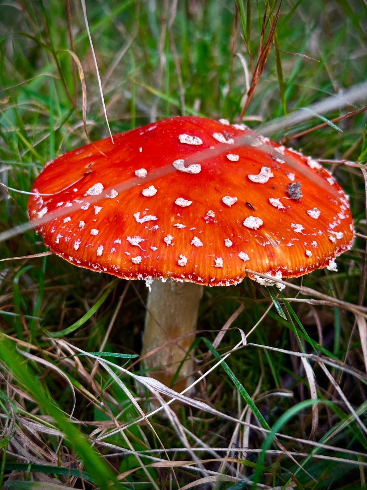 34107b6c-e084-4a36-8262-0c193cd374d6