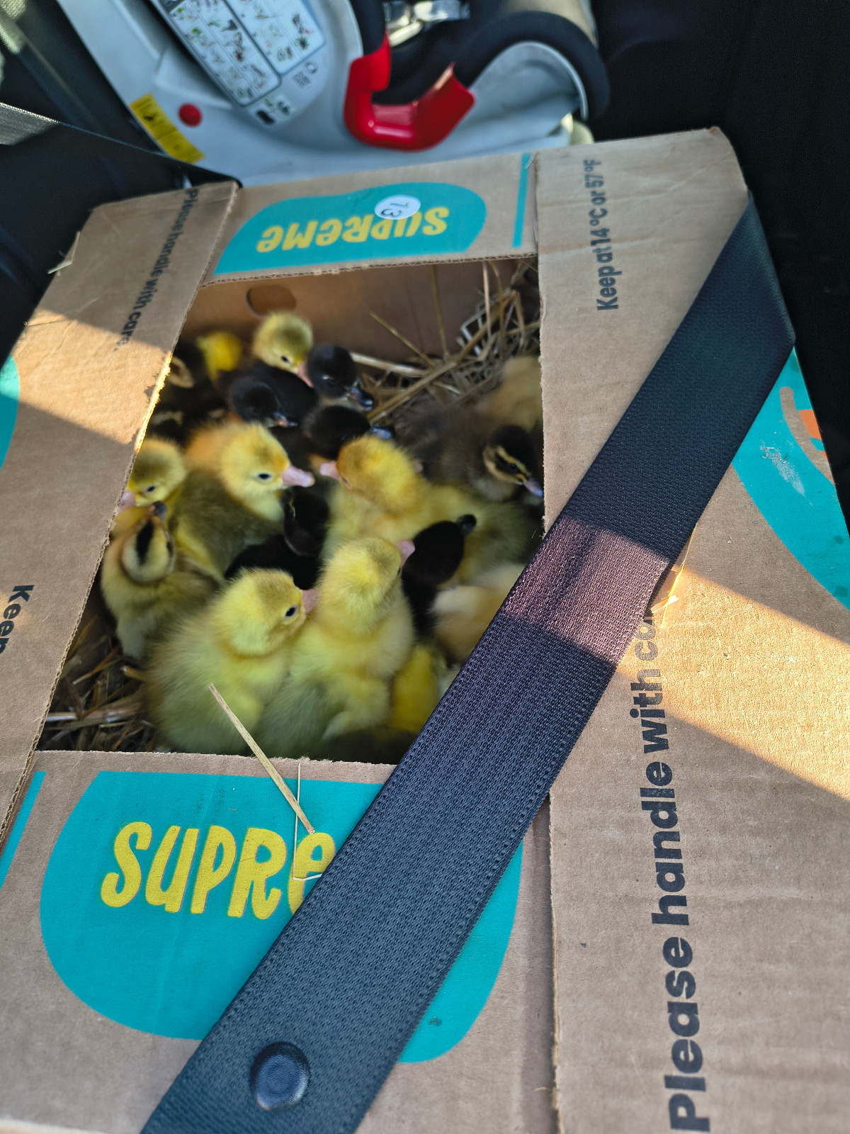 e1a9abfc-4c3b-4708-bc2c-eb5199ce3df0