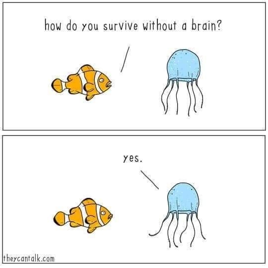 d9021263-6c16-4b45-94d3-8964103c2dbe