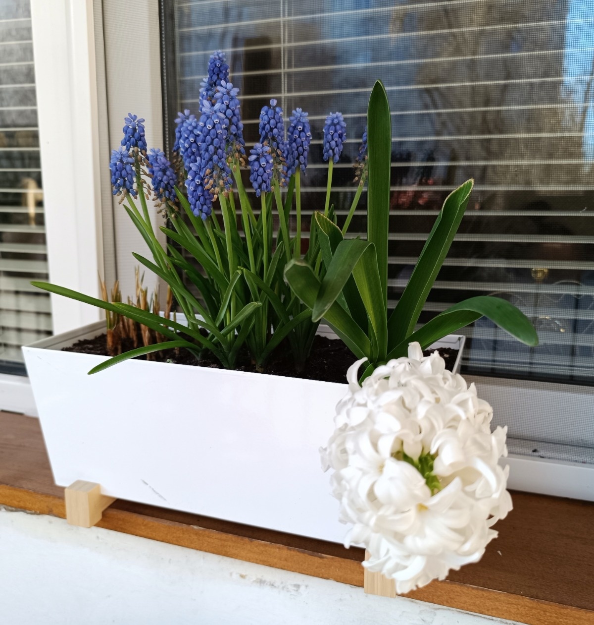 5d149580-e2ed-4912-9836-010df005dc6a