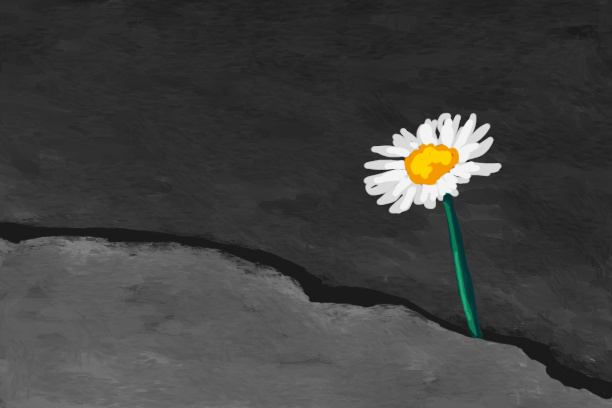 c97c5137-293d-4f3b-8583-f3477905b0a3