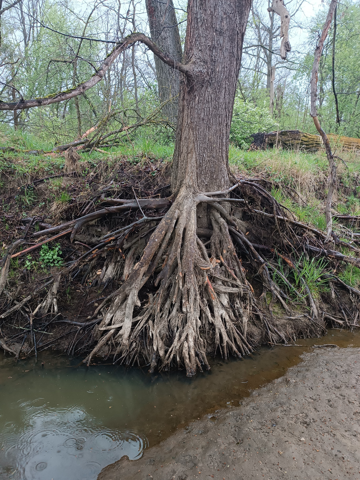 d1139b68-6769-49f3-af4e-ba5fdd6b120e