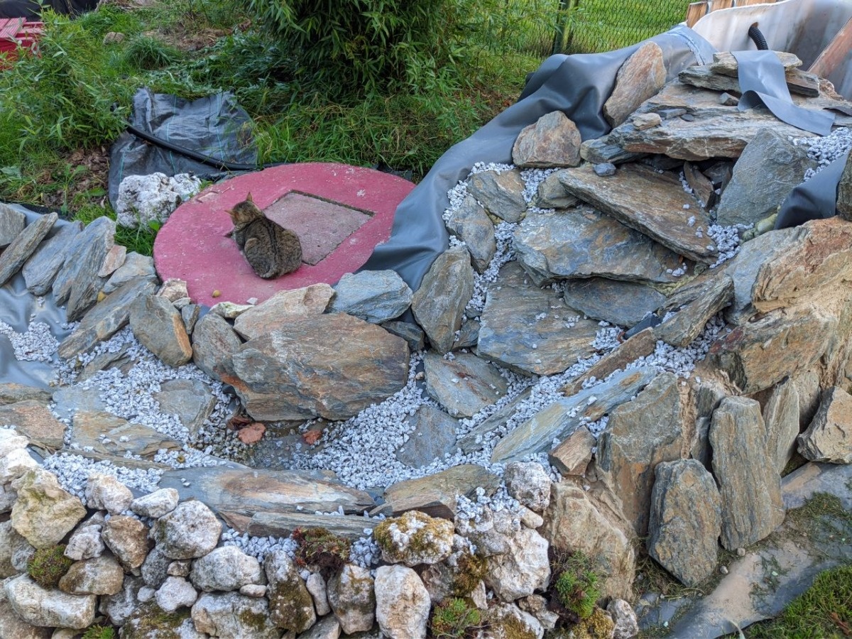 5104668d-bf75-4cf3-8aec-b712de9ed895