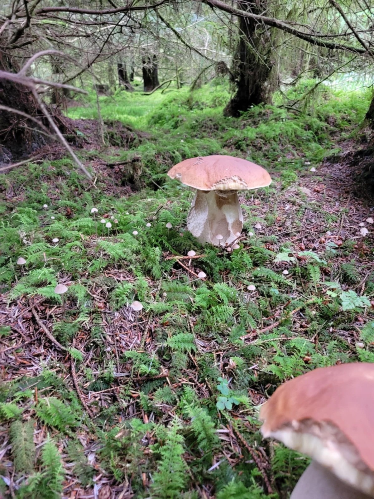 37e1553c-1735-4b0a-b1ec-a8baec621667